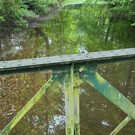 Gut Hange Am Wald Und *
